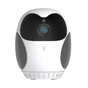 Rechargeable Smart HD Wifi Camera D1
